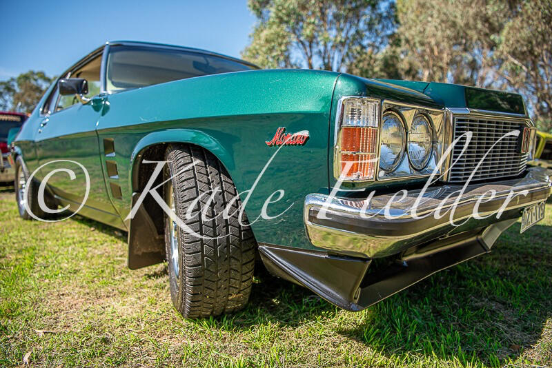 OUT OF THE SHED 2025